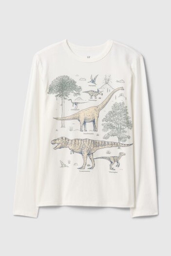 Remera Gràfico Manga Larga Niño Dinosaur