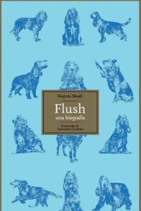 Flush Flush