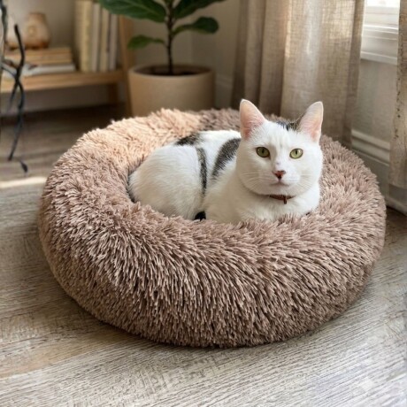 Cama tipo dona para Perro/Gato 60 cm Beige
