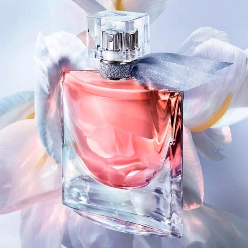 Perfume Lancome La Vie Est Belle Femme Edp 100Ml Perfume Lancome La Vie Est Belle Femme Edp 100Ml