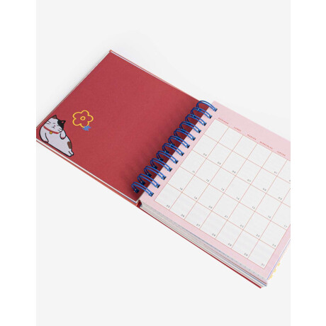 Agenda Diaria 2026 Combinacion Multicolor