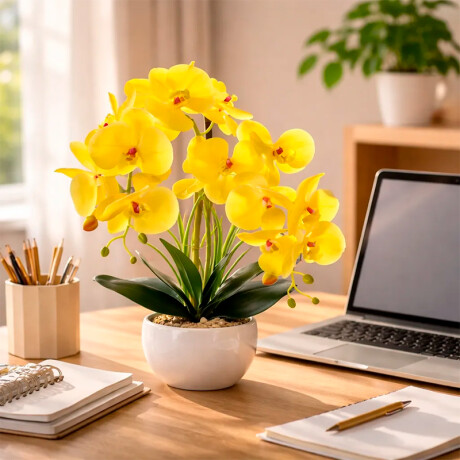 Orquidea Con Maceta Blanca Amarillo