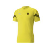 PUMA CAP TRAINING JERSEY 05