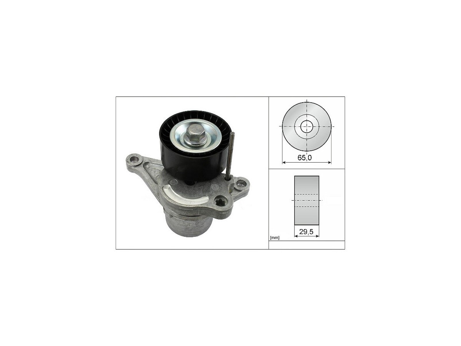 Tensor De La Correa Renault Master 13-25 
