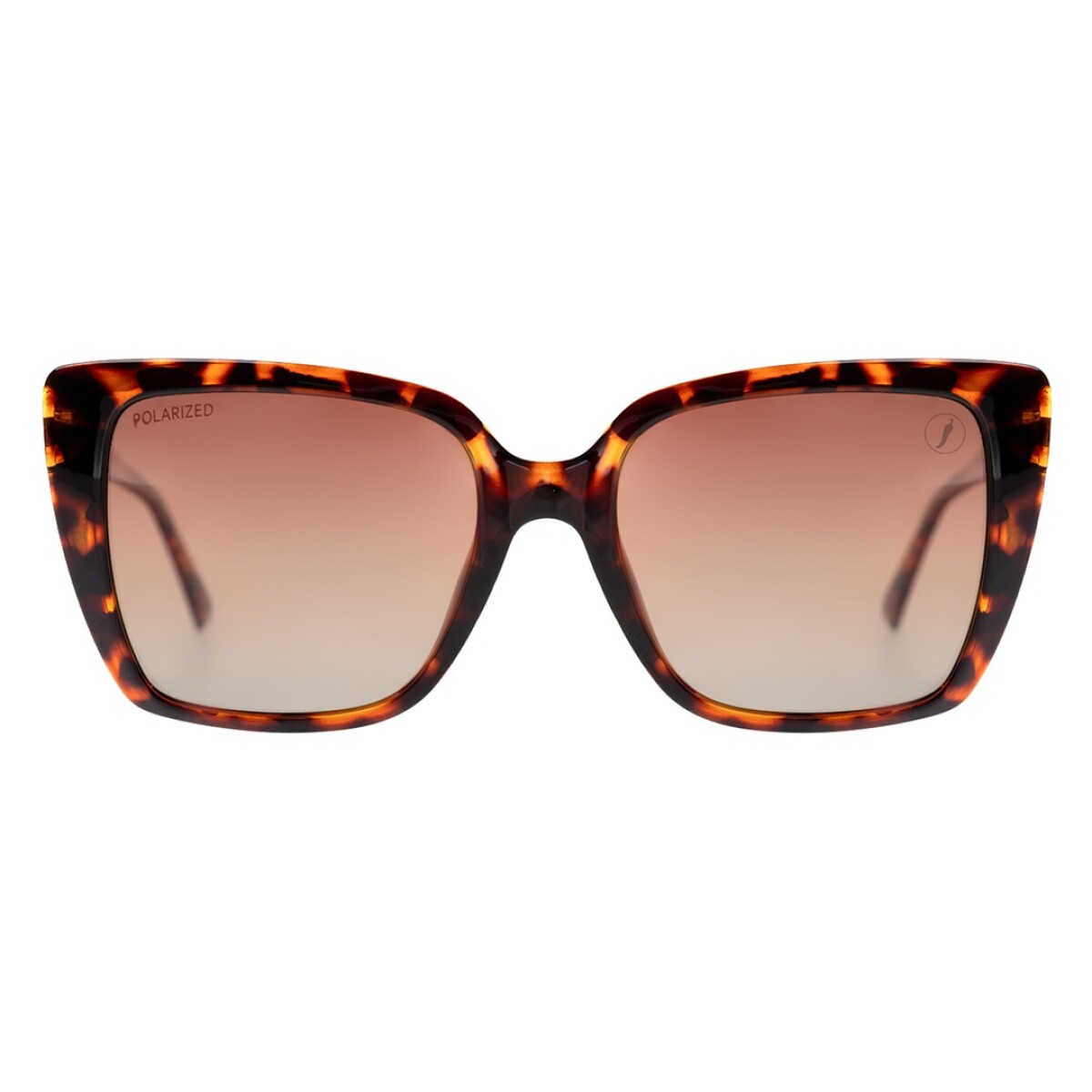 Lentes de Sol Chilli Beans Humaitá - Animal Print 