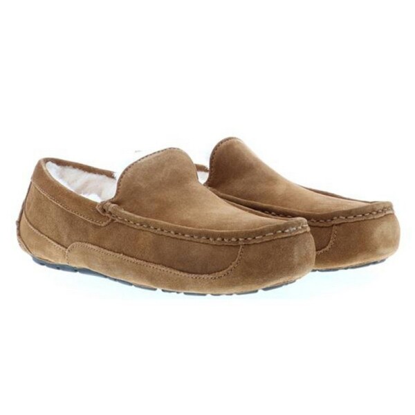 Calzado UGG Ascot Marrón