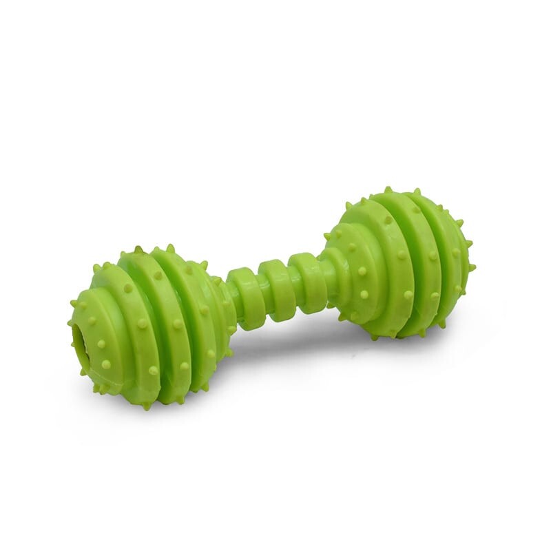Juguete Mascota Mordedor Sonido Cascabel Hueso Resistente Verde