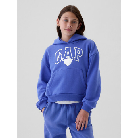 FA24 LOGO PO HOODIE MATISSE BLUE