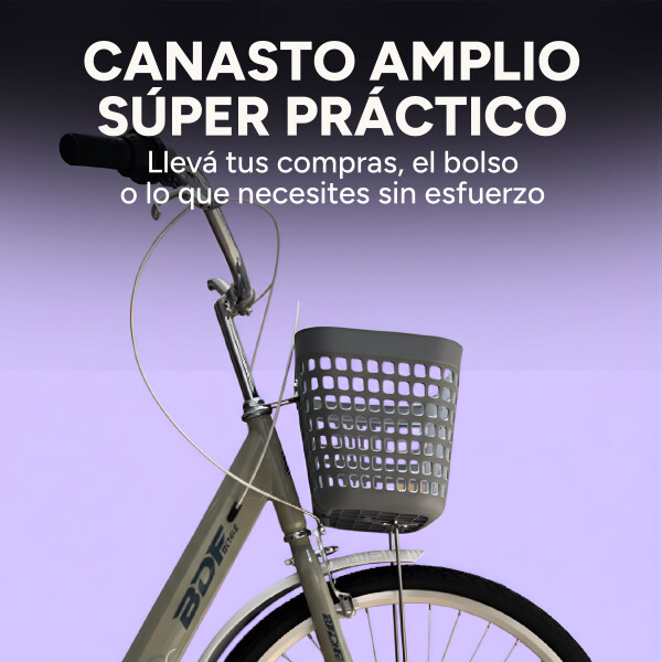 Bicicleta BDF Paseo Urbana Rodado 26 " Canasto Freno V-Brake Gris 1