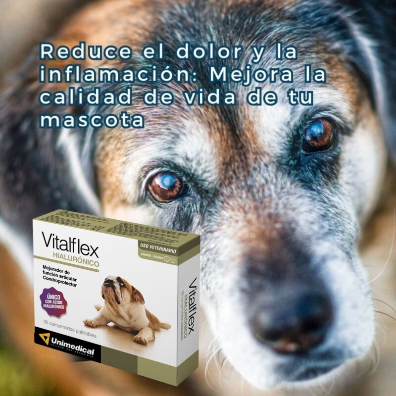 VITALFLEX X BLISTER DE 5 COMPRIMIDOS