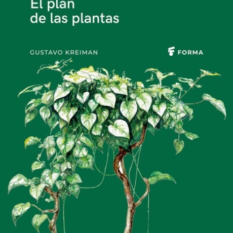 EL PLAN DE LAS PLANTAS EL PLAN DE LAS PLANTAS