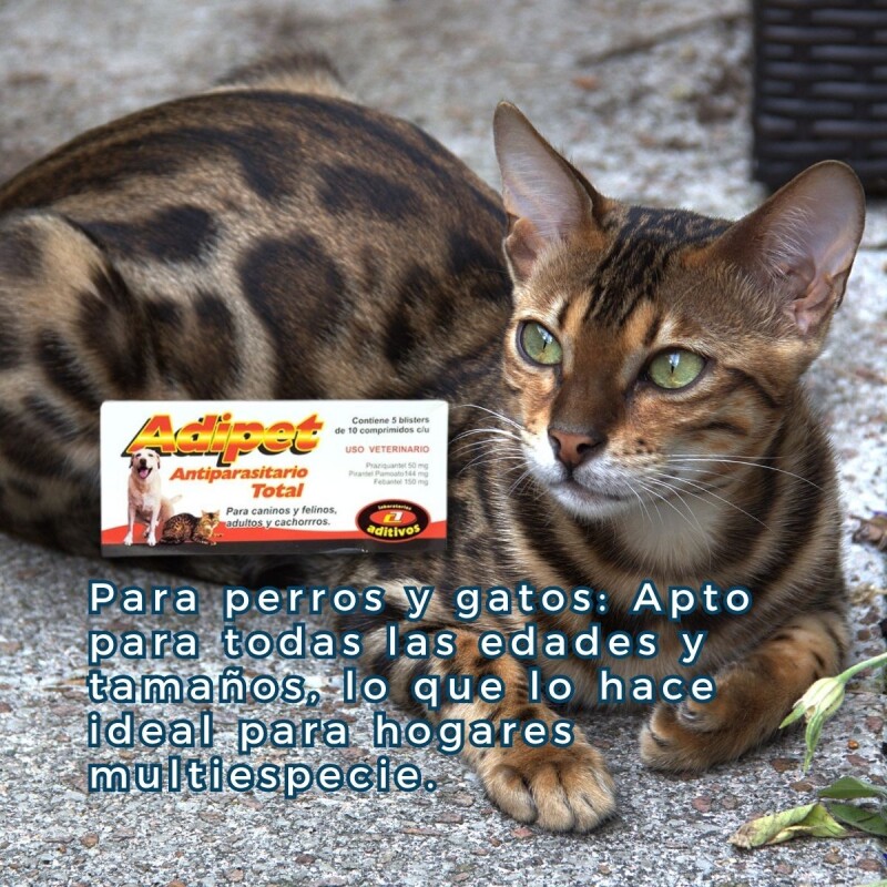 ADIPET ANTIPARASITARIO TOTAL 1 COMPRIMIDOS ADIPET ANTIPARASITARIO TOTAL 1 COMPRIMIDOS