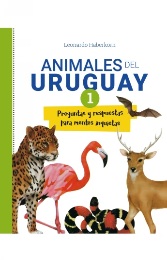 Animales del Uruguay I. Preguntas y respuestas para mentes inquietas Animales del Uruguay I. Preguntas y respuestas para mentes inquietas