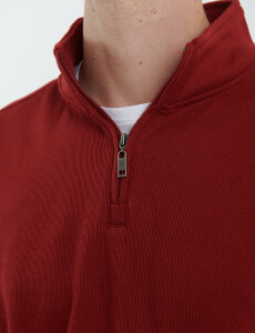 470919 REMERA HARRY Rojo