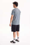 Remera Seaside Gris