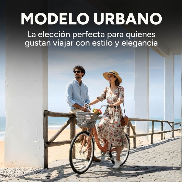 Bicicleta BDF Paseo Urbana Rodado 26 " Canasto Freno V-Brake Rosa 1