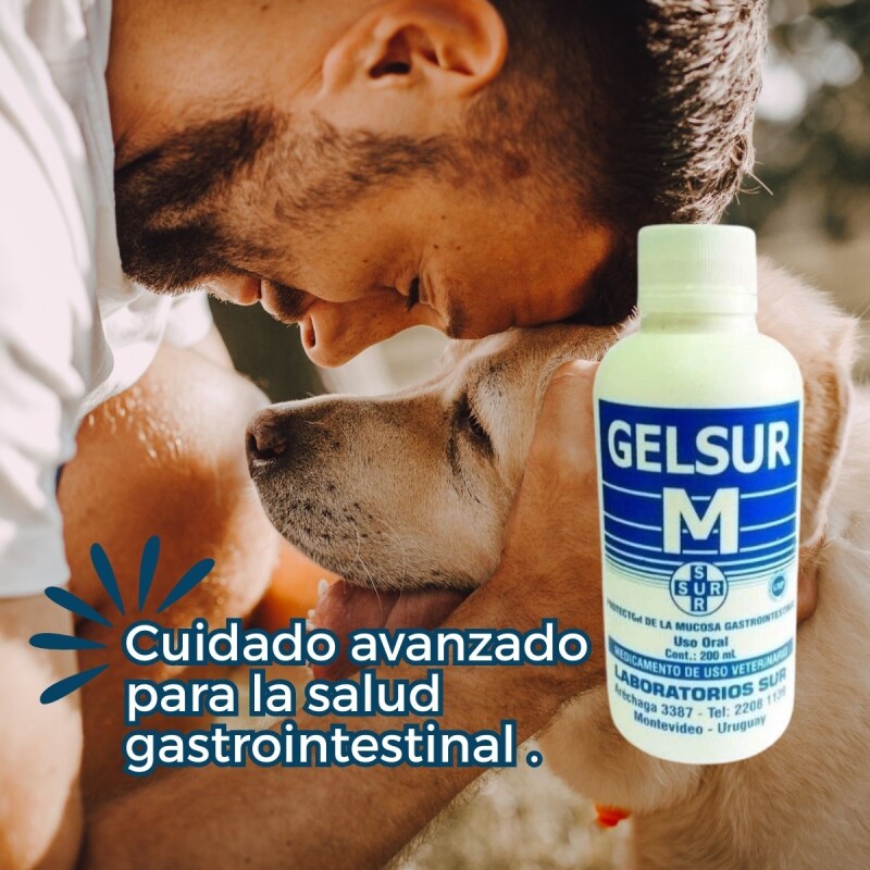GELSUR M 200 ML GELSUR M 200 ML