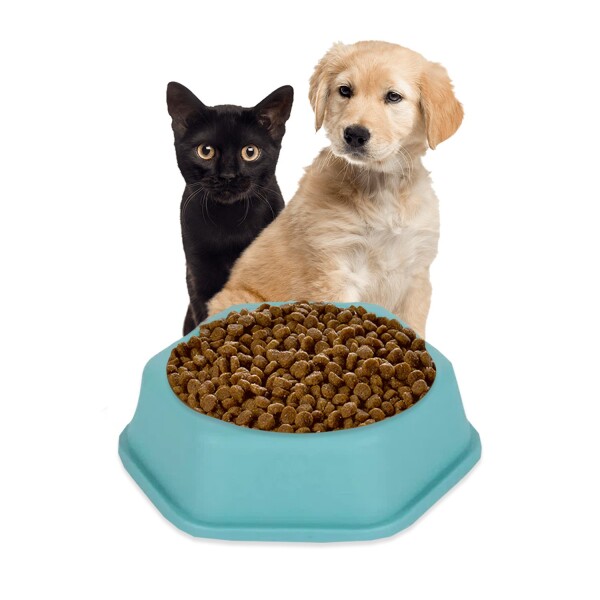 Plato Hexagonal Mascota Cachorros Comida Agua Plástico Atrix Variante Color Celeste