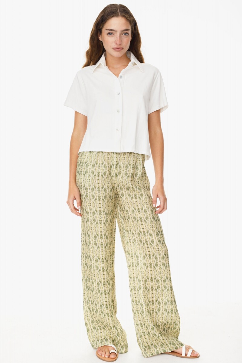 Pantalon New Parque Snake Verde