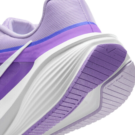 Championes Nike Downshifter 14 Violet