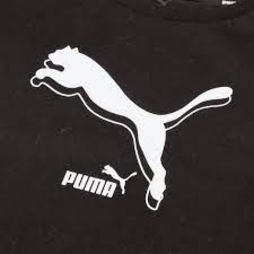 Remera Puma Niño Power Logo Tee Negra/Blanca Color Único
