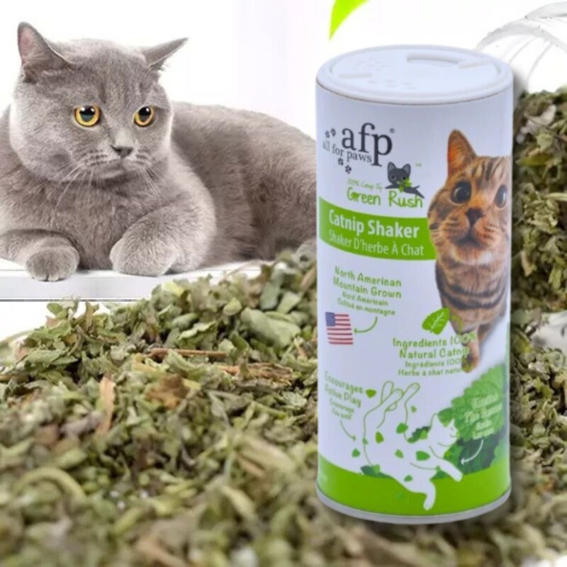 HIERBA GATERA CATNIP PARA GATOS PARA ESPOLVOREAR HIERBA GATERA CATNIP PARA GATOS PARA ESPOLVOREAR