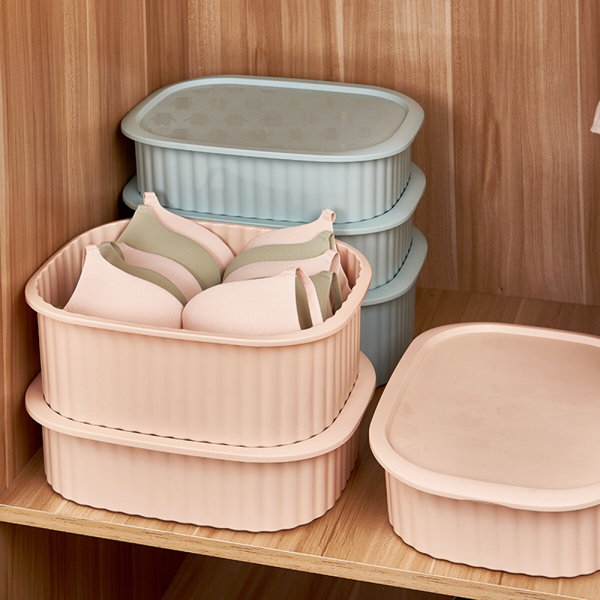 Contenedor Para Ropa Interior 