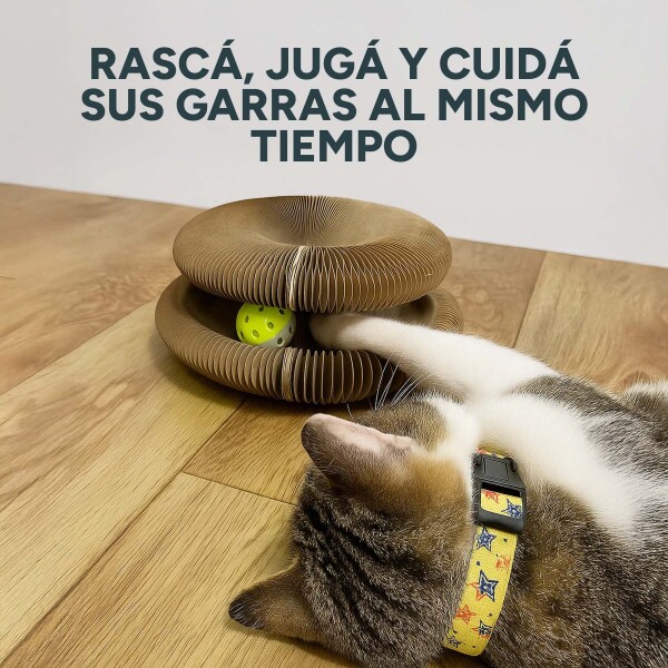 Juguete Expandible Rascador De Gatos Dona Acordeon Yerba Juguete Expandible Rascador De Gatos Dona Acordeon Yerba