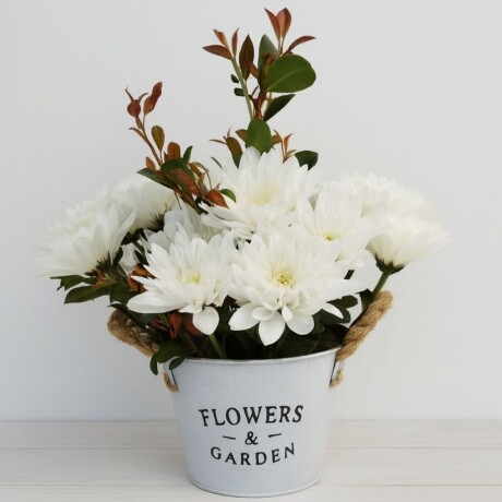 flowers & Garden flowers & Garden