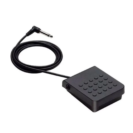 Pedal Sustain Casio Sp3h2 Pedal Sustain Casio Sp3h2