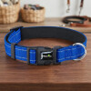 Collar Para Mascotas Talle M Refractario AZUL