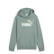 Buzos Puma Logo Hoodie Masculino Verde