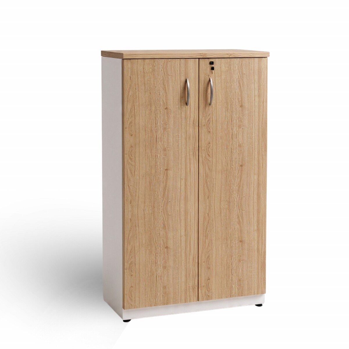 BIBLIOTECA CORPORATIVA ESTANTERÍA ORGANIZADOR 2 PUERTAS 