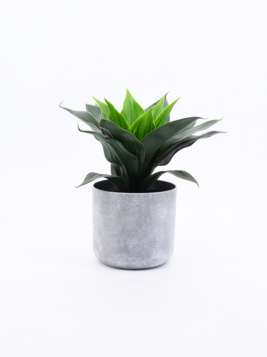 PLANTA CON MACETA - VERDE 
