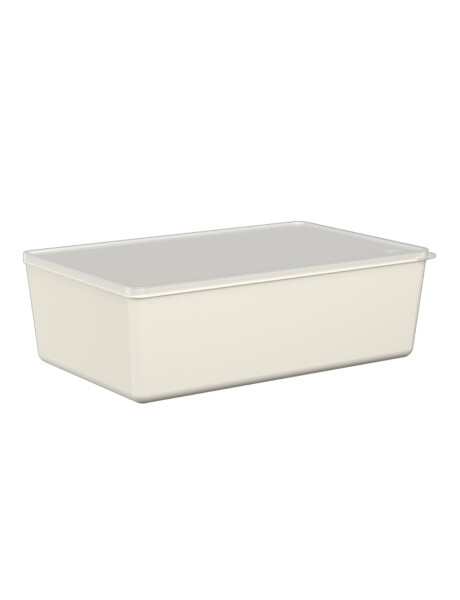 CONTENEDOR 4,50L DE PLASTICO BASIC-GRIS CLARO CONTENEDOR 4,50L DE PLASTICO BASIC-GRIS CLARO