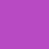 Panty Brief VIOLETA CLARO