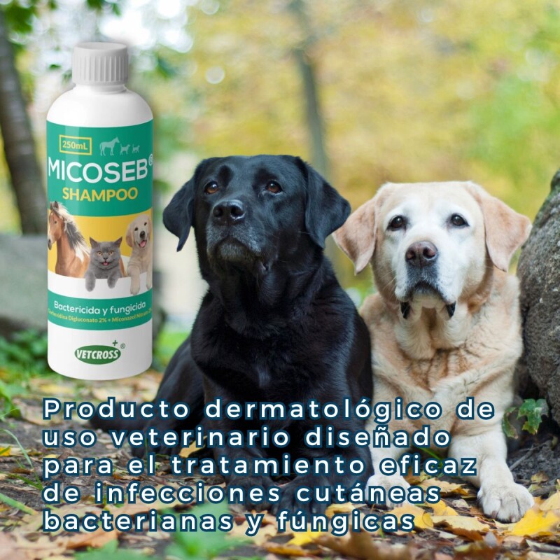 MICOSEB SHAMPOO 250 ML MICOSEB SHAMPOO 250 ML