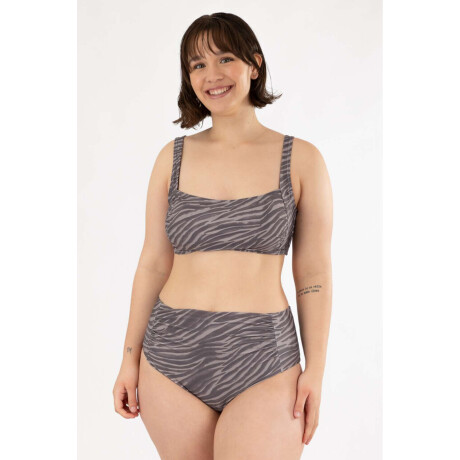 Top chelsea est. Dark zebra