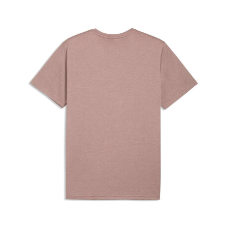 Remera Tad Essentials Heather Cat Tee de Hombre Crema