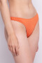 BOTTOM BASIC LEOPARD Coral Oscuro