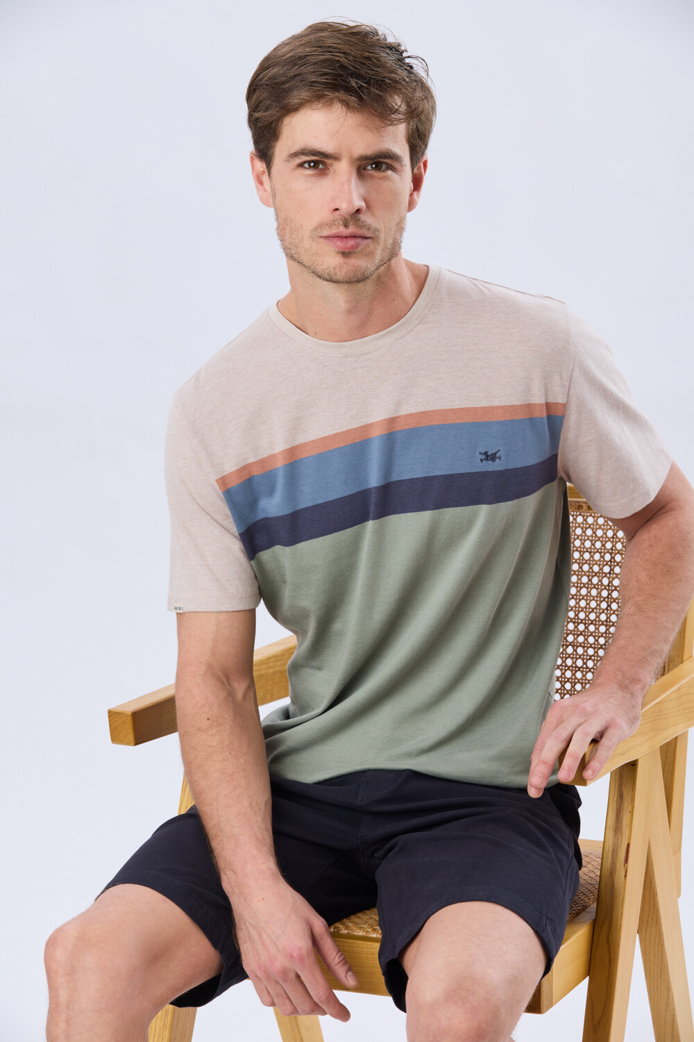 REMERA RAYADA DE ALGODÓN Pistacho