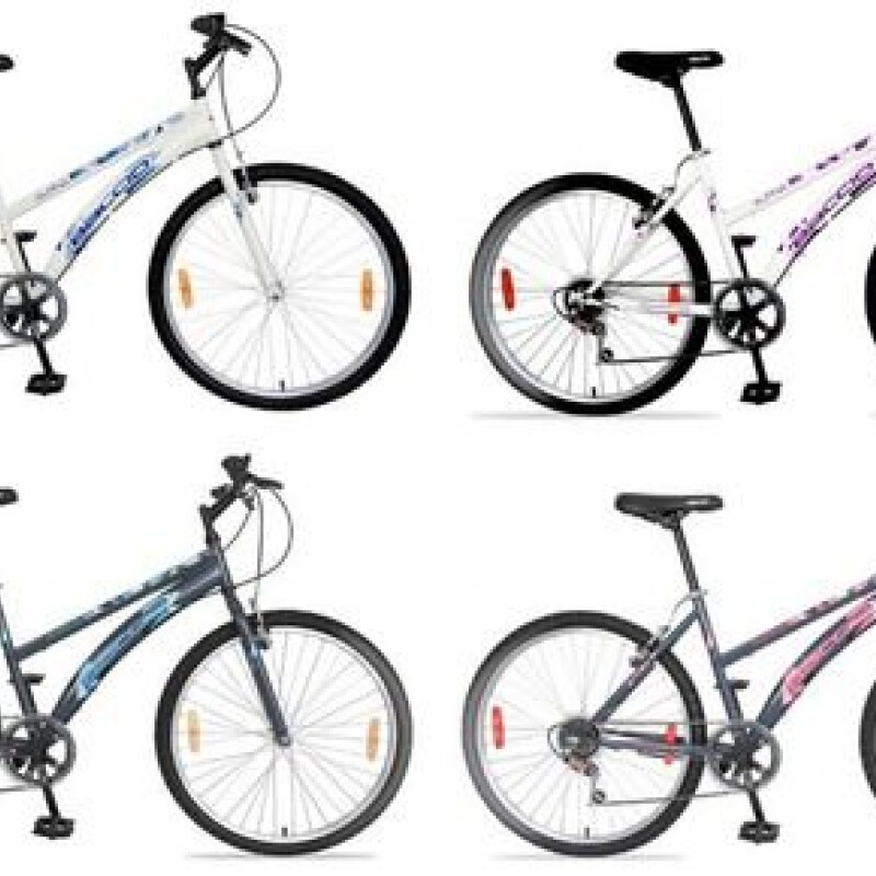 Bicicleta Baccio Alpina Lady Montaña rodado 26 con 6 cambios Violeta