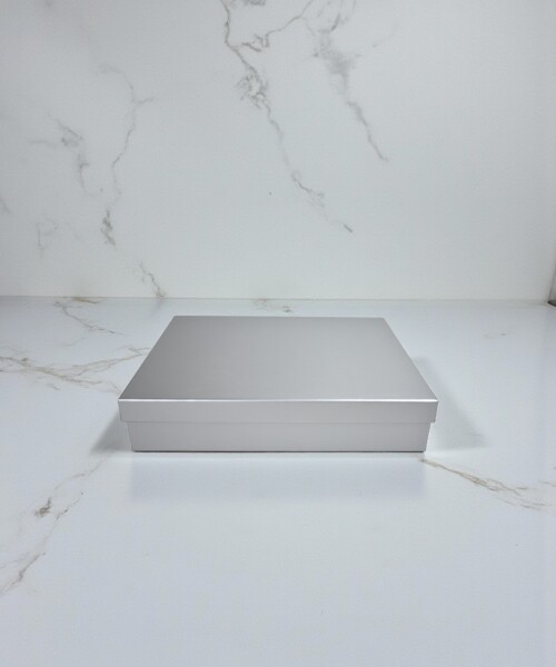 Caja Rigida 19,5 x 29,5 x 5 PLATA