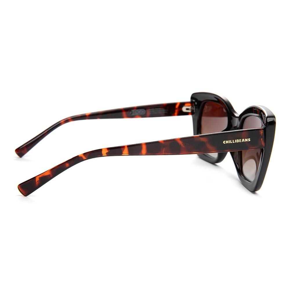 Lentes de Sol Eco Cat Gradiente Marón/Negro