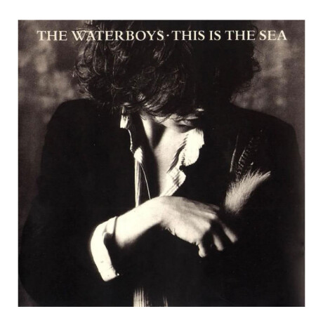 Waterboys / This Is The Sea - Clear - Lp Waterboys / This Is The Sea - Clear - Lp