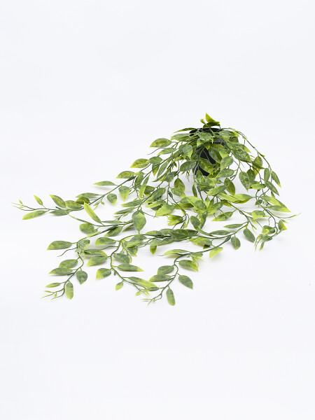 PLANTA COLGANDE CON MACETA VERDE
