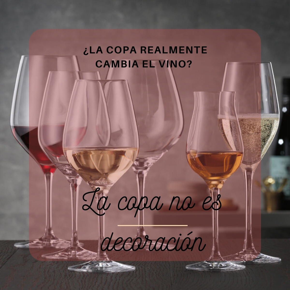¿La copa realmente cambia el vino?