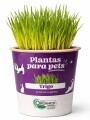 ALIMENTO PARA MASCOTAS ALIMENTO PARA MASCOTAS