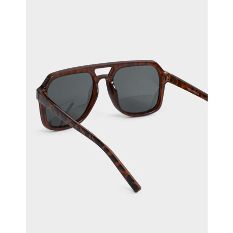 Anteojo Marron Carey