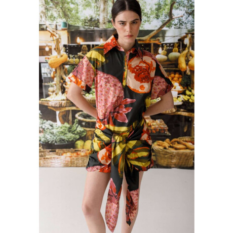 Pre Venta Vestido Kiwi Print Multifruit